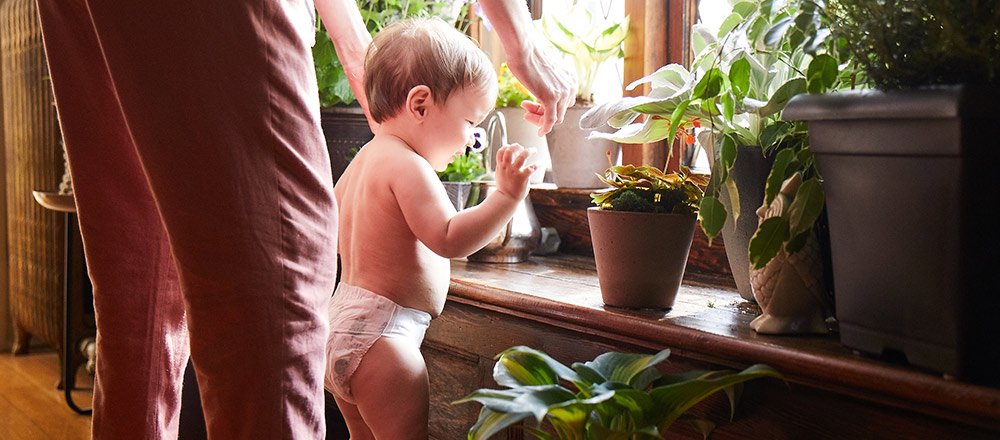 A diapered baby and their parent look at an assortment of potted plants on a windowsill